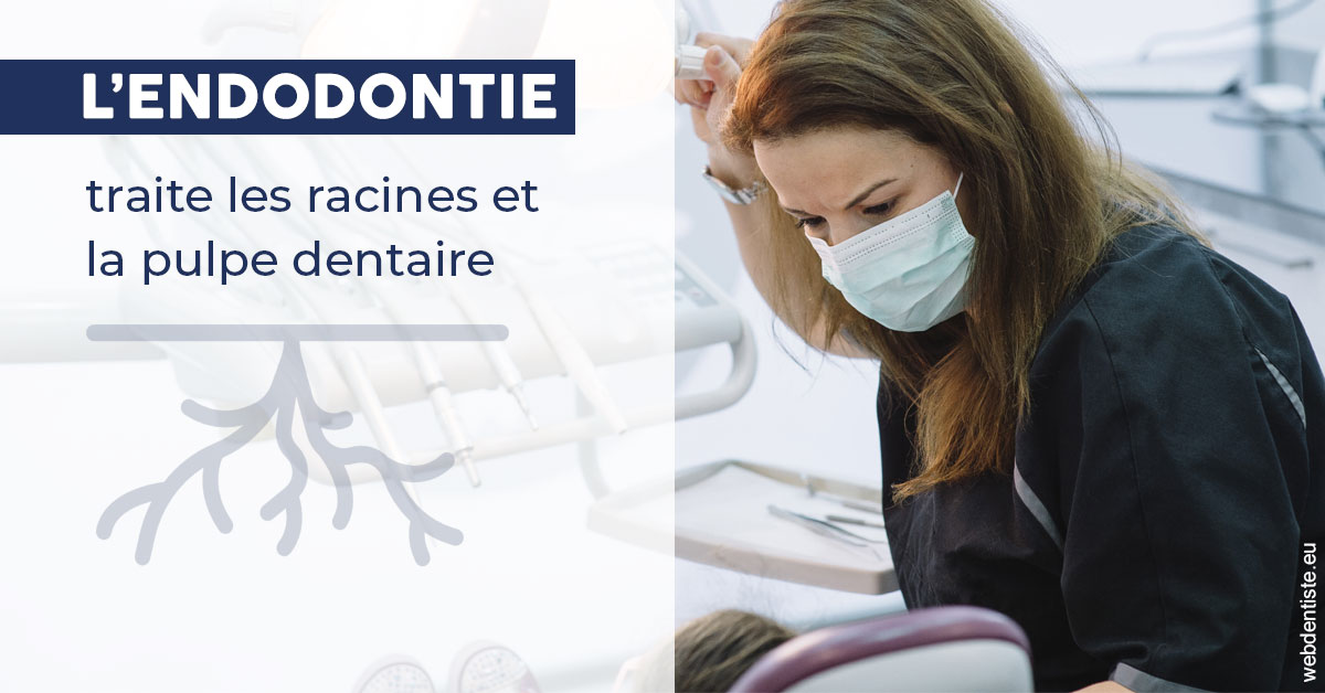 https://www.dentiste-boukobza.fr/L'endodontie 1
