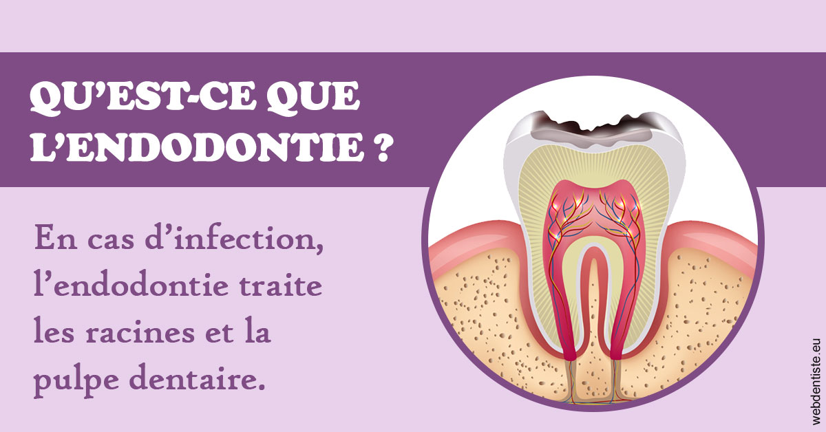 https://www.dentiste-boukobza.fr/2024 T1 - Endodontie 02