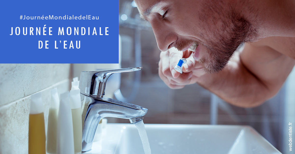 https://www.dentiste-boukobza.fr/Journée de l'eau 2
