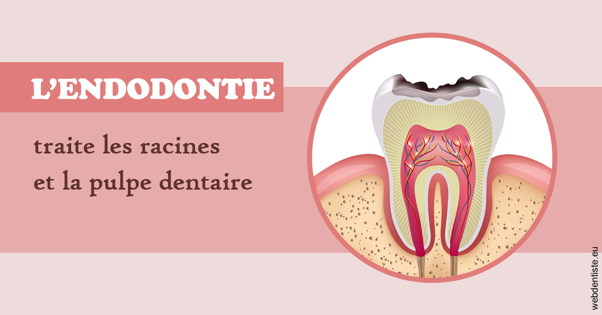 https://www.dentiste-boukobza.fr/L'endodontie 2