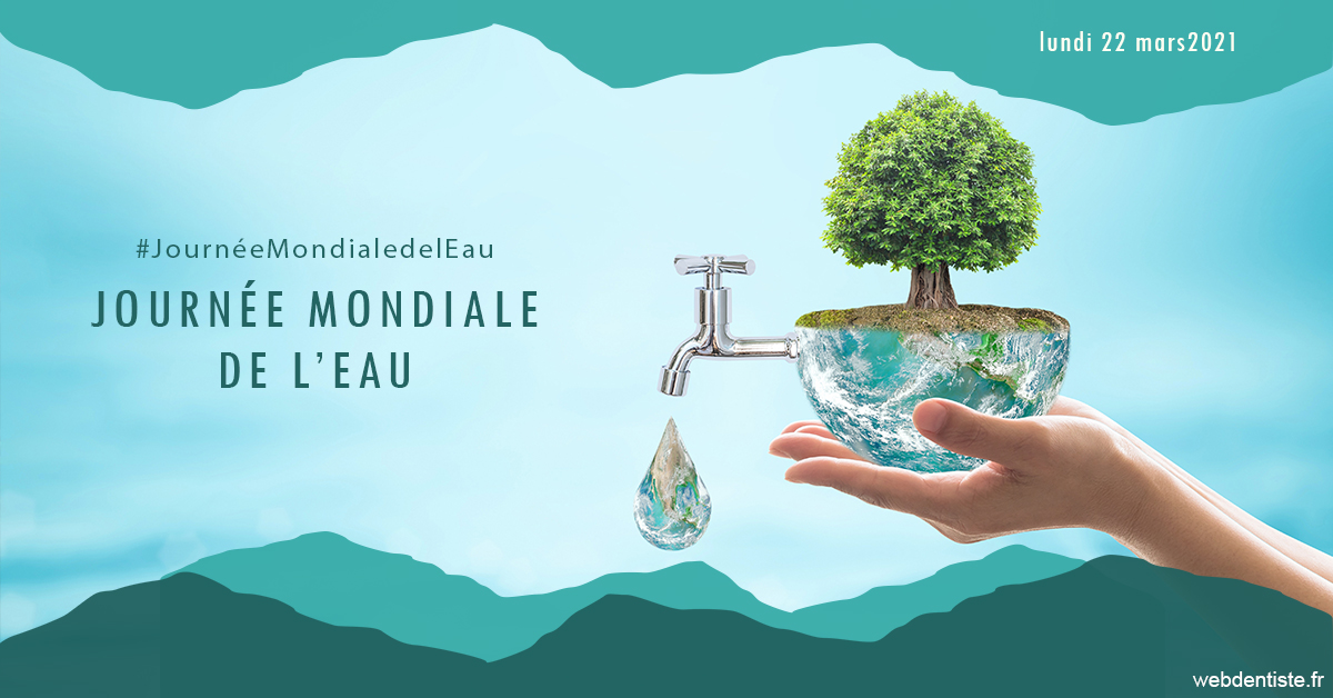 https://www.dentiste-boukobza.fr/Journée de l'eau 1
