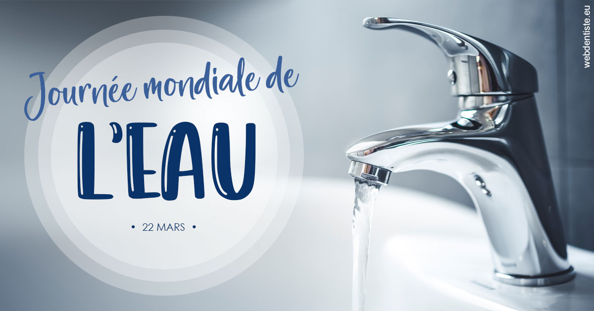 https://www.dentiste-boukobza.fr/La journée de l'eau 2