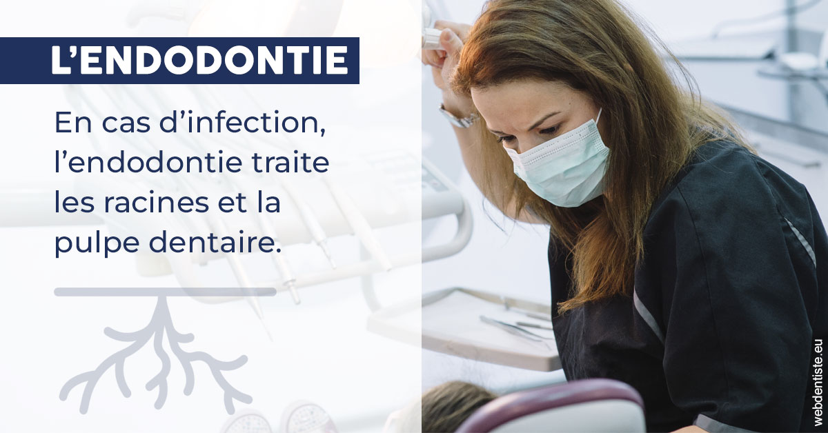 https://www.dentiste-boukobza.fr/L'endodontie 1