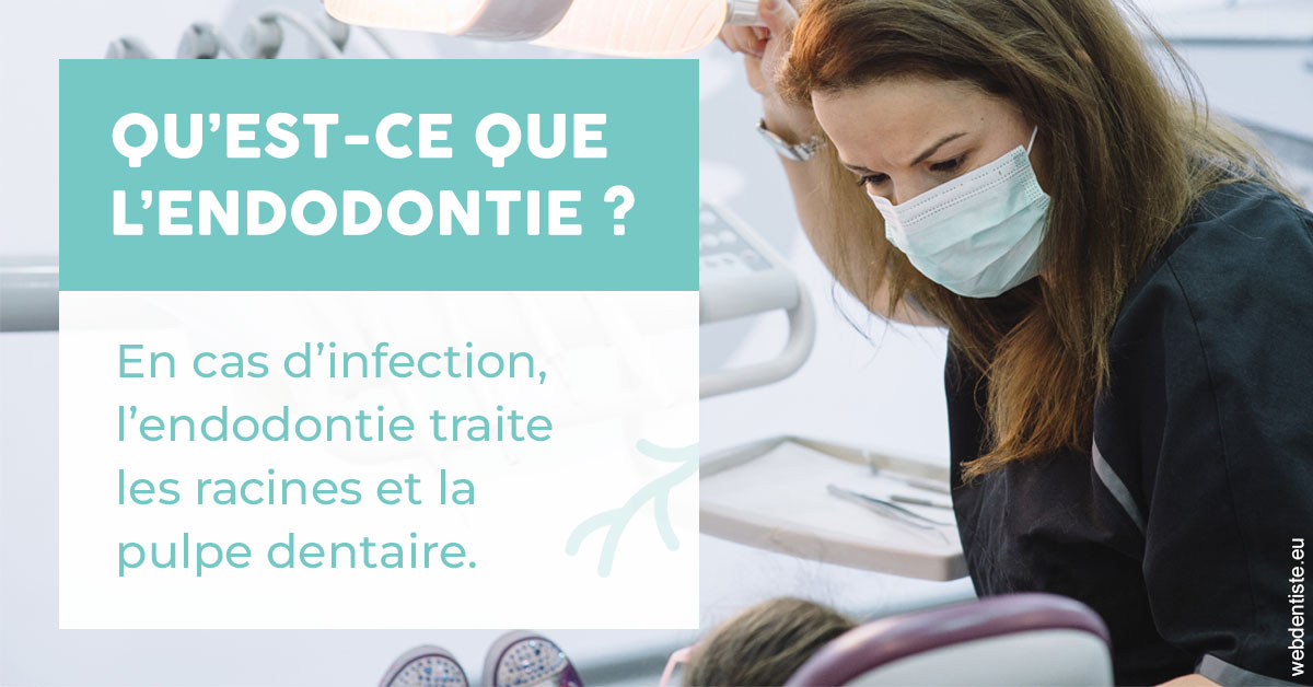 https://www.dentiste-boukobza.fr/2024 T1 - Endodontie 01